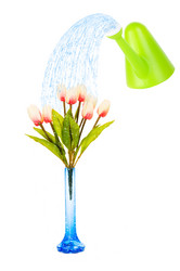 Similar image 602684