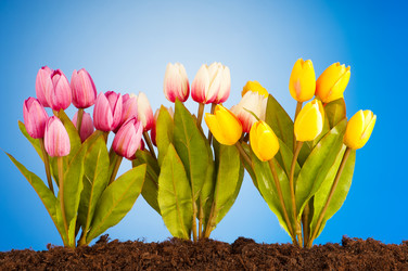 Similar image 602685