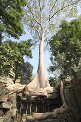 Similar image 602695