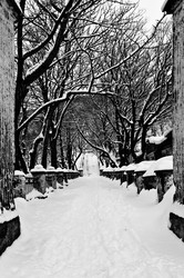 Similar image 602734