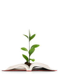 Similar image 602738