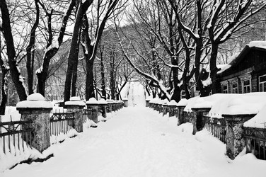 Similar image 602785