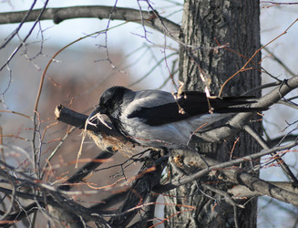 Similar image 602885