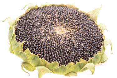 Similar image 602941