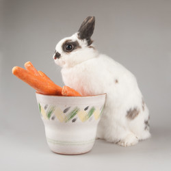 Similar image 602948