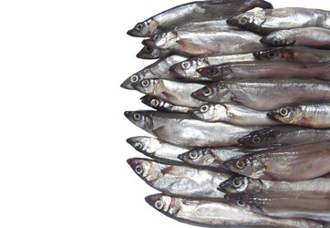 Similar image 602951