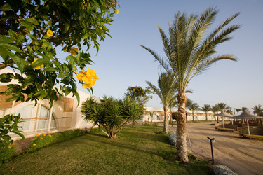 Similar image 602956