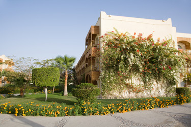 Similar image 602957