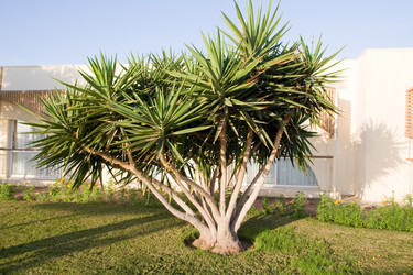 Similar image 602964