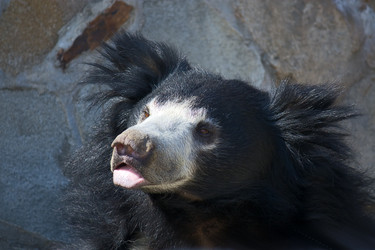 Similar image 602981