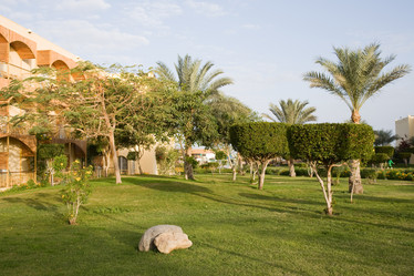 Similar image 603038