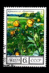 Similar image 603102