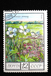 Similar image 603104