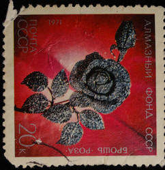 Similar image 603110