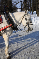 Similar image 603184