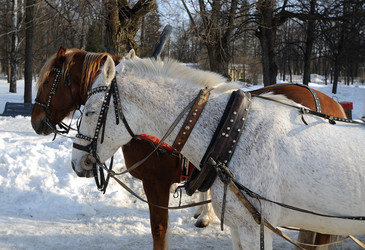 Similar image 603187