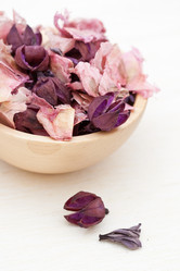 Similar image 603209