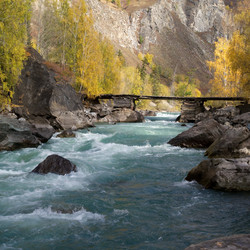 Similar image 603217