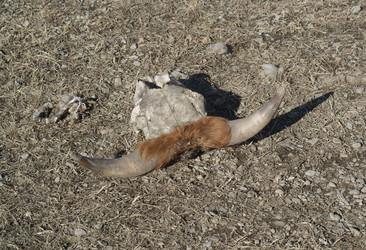 Similar image 603218