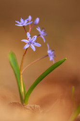 Similar image 603221