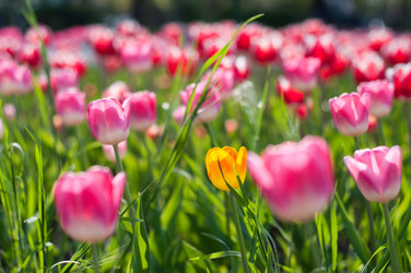 Similar image 603245