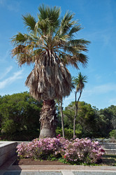 Similar image 603270