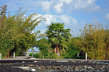 Similar image 603273