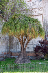 Similar image 603276