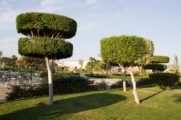 Similar image 603288