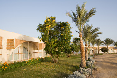 Similar image 603312