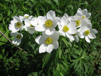 Similar image 603345