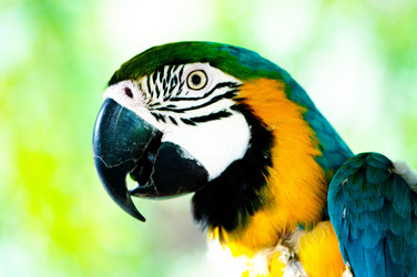 Similar image 603373