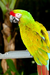 Similar image 603395