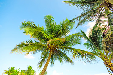 Similar image 603399