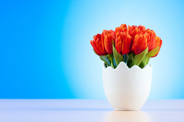 Similar image 603401