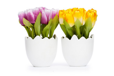 Similar image 603406