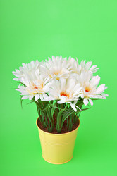 Similar image 603409