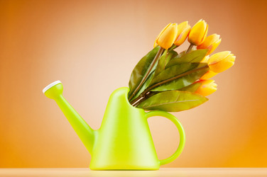 Similar image 603415