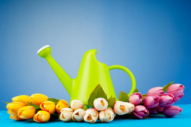 Similar image 603418