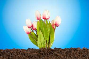 Similar image 603428