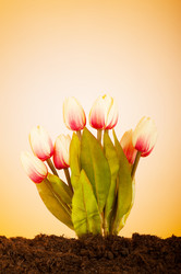 Similar image 603429