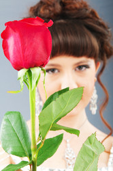 Similar image 603529