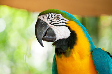 Similar image 603542