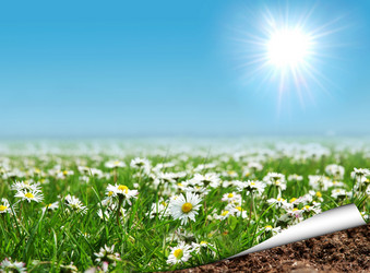 Similar image 603579