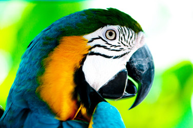 Similar image 603638