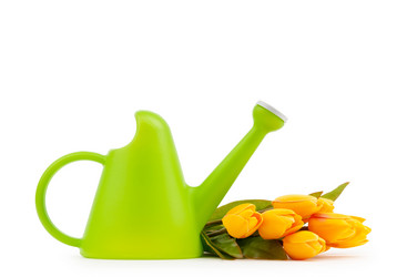 Similar image 603659