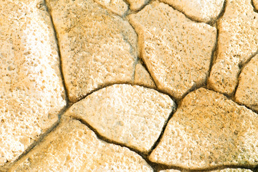 Similar image 603710