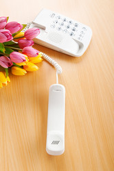 Similar image 603723