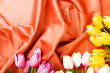 Similar image 603729