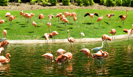 Similar image 603754